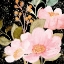 Picture of ON BLACK FLORAL