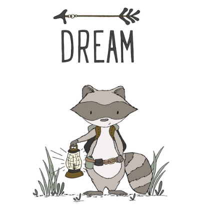 Picture of RACCOON DREAM