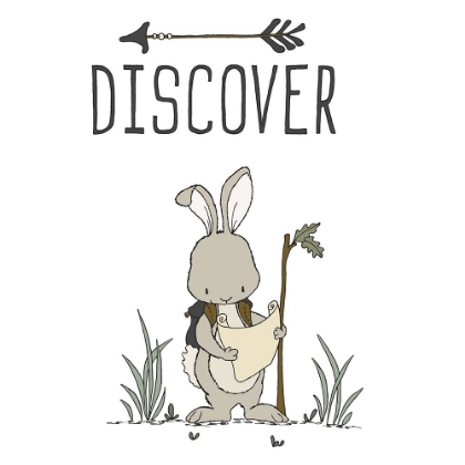 Picture of BUNNY DISCOVER
