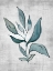 Picture of WATERCOLOR BOTANICAL 1
