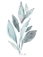 Picture of WATERCOLOR BOTANICAL 2