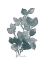 Picture of OUTLINED STEM 2