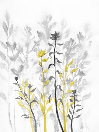 Picture of ILLUMINATING GROWTH 1