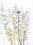 Picture of ILLUMINATING GROWTH 1
