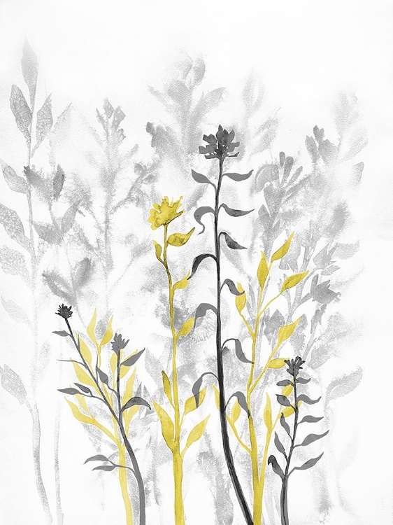 Picture of ILLUMINATING GROWTH 1