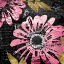 Picture of BLACK ROSE 1