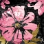 Picture of BLACK ROSE 2