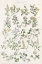 Picture of WILDFLOWER FIELD GUIDE