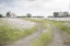 Picture of COUNTRY ROADS
