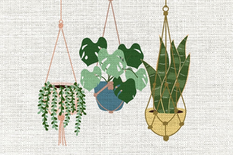 Picture of BURLAP HANGING PLANTS