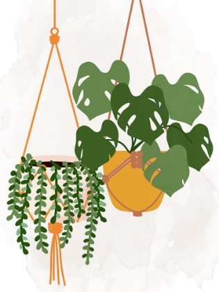 Picture of HANGING PLANTS