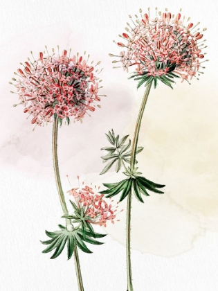 Picture of WATERCOLOR CROSSWORT