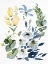 Picture of PAINTED SPRING 1