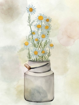 Picture of TIN OF DAISIES