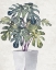 Picture of PLANT 1