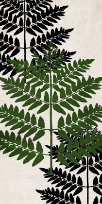 Picture of PRESSED FERNS PANEL 1