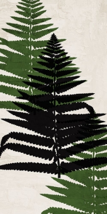 Picture of PRESSED FERNS PANEL 2