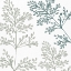Picture of SQUARE BOTANICAL 2