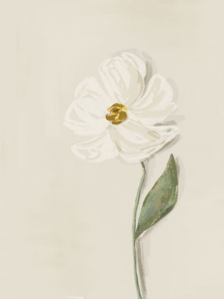 Picture of WHITE FLOWER 1