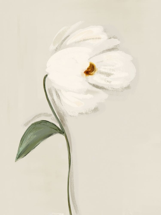 Picture of WHITE FLOWER 3