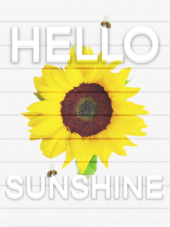 Picture of HELLO SUNSINE 1