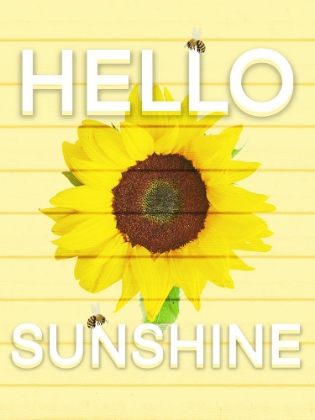 Picture of HELLO SUNSINE 2