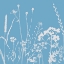 Picture of BLUE SPRAY 3