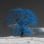 Picture of TREE ON A HILL-BLUE