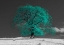 Picture of TREE ON A HILL-TEAL