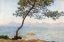 Picture of ANTIBES WITH TREE 1888