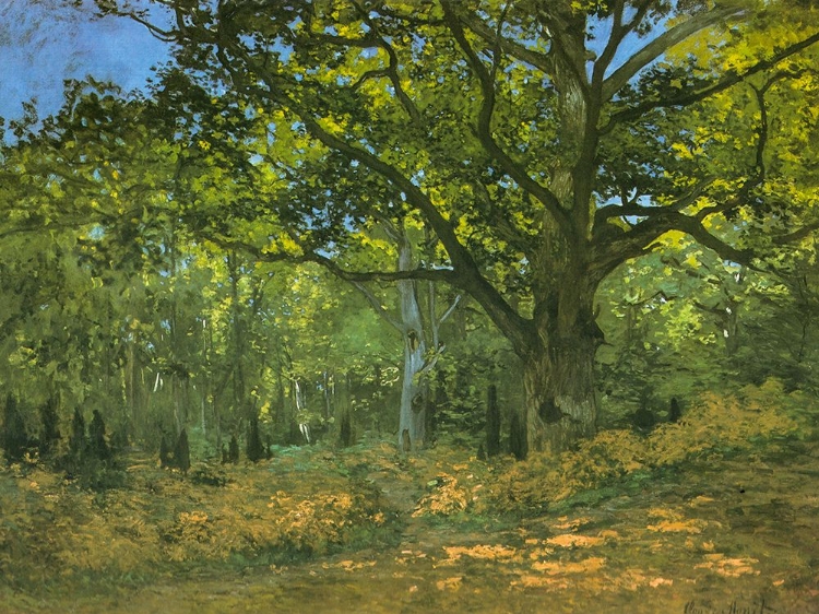 Picture of BODMER OAK AT BAS-BREAU 1865