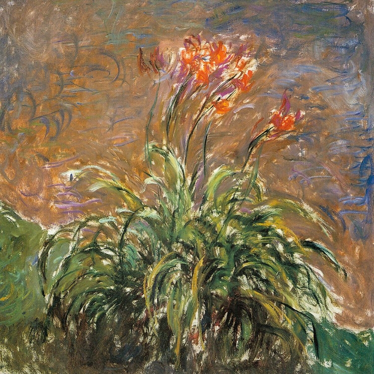 Picture of HEMEROCALLIS 1914