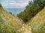 Picture of ROAD AT LA CAVEE-POURVILLE 1882