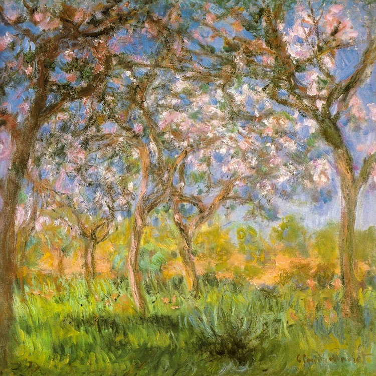 Picture of SPRING 1900