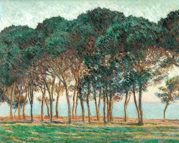 Picture of UMBRELLA PINES-ANTIBES 1888