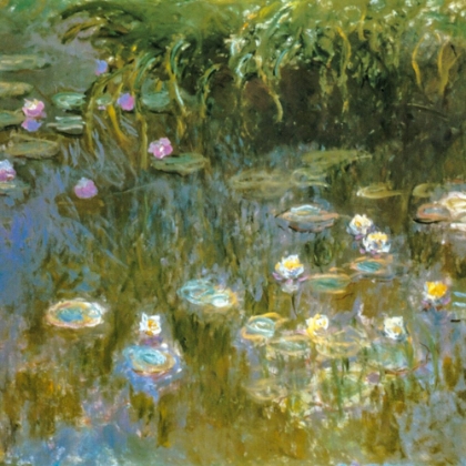 Picture of WATER-LILIES 1888