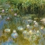 Picture of WATER-LILIES 1888