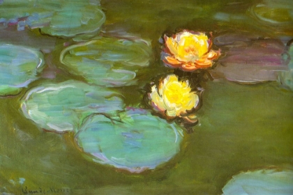 Picture of WATER-LILIES II 1907