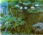 Picture of WATER-LILIES II 1909