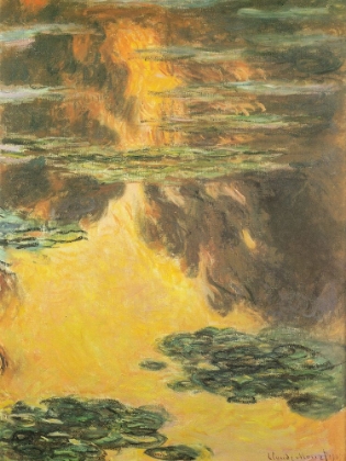 Picture of WATER-LILIES ORANGE 1907
