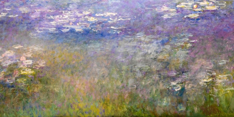 Picture of WATER LILIES AGAPANTHUS 1915