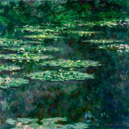 Picture of WATERLILIES 1904