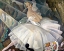 Picture of THE BALLERINA ULLA POULSEN IN THE BALLET CHOPINIANA