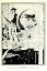 Picture of SIEGFRIED 1909