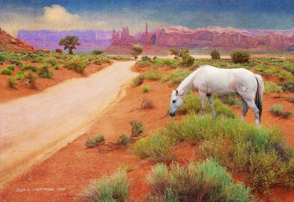 Picture of WHITE HORSE ROAD IN MONUMENT VALLEY