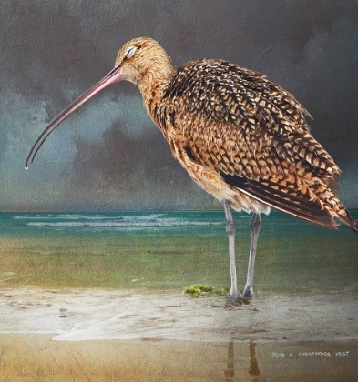 Picture of BLISSFUL CURLEW