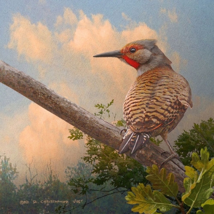 Picture of FLICKER AT SUNSET