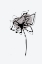 Picture of MINIMAL GILIA FLOWER