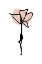 Picture of MINIMAL COSMEA FLOWER