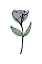Picture of MINIMAL BLUE BELL FLOWER